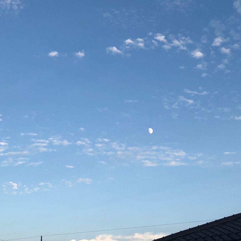 こころ
