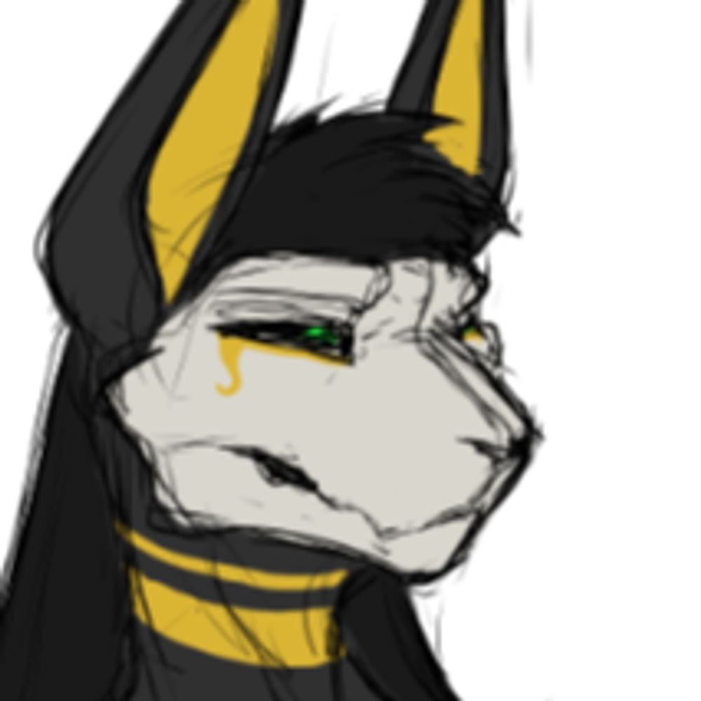 Felix Jackal