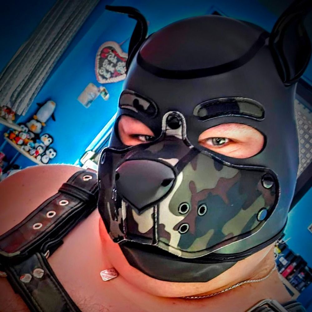 PupBuddy