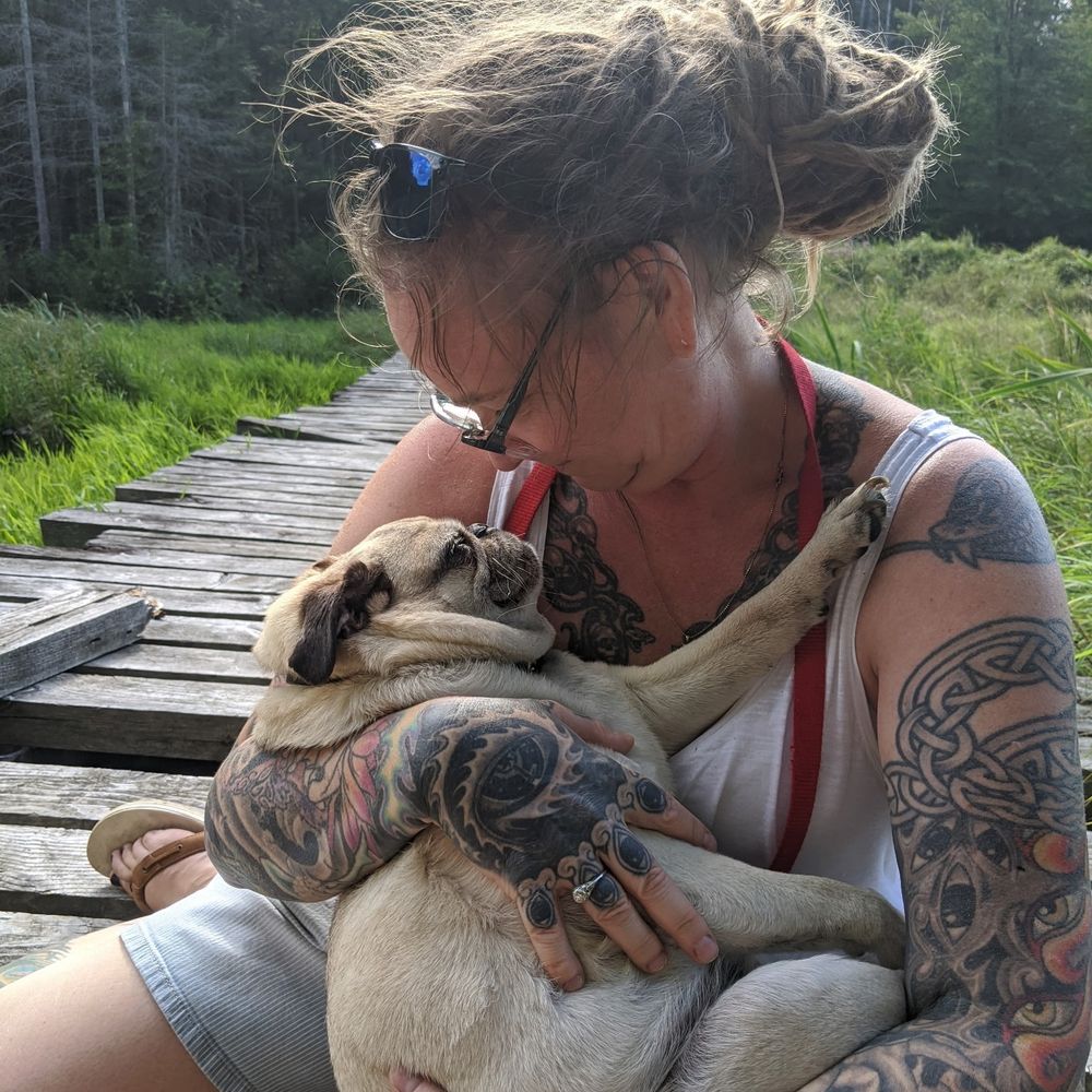 anniemous393.bsky.social profile picture