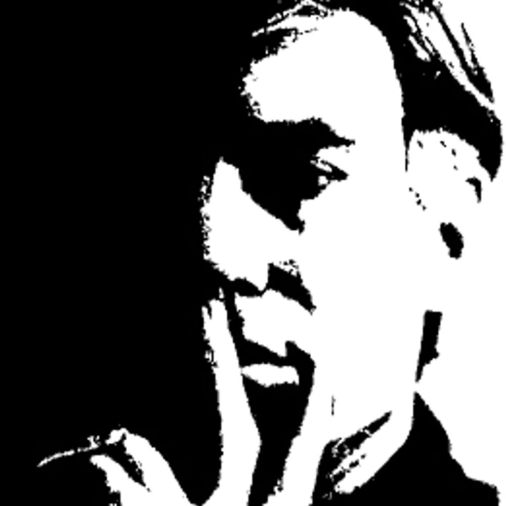 The Andy Warhol Foundation for the Visual Arts