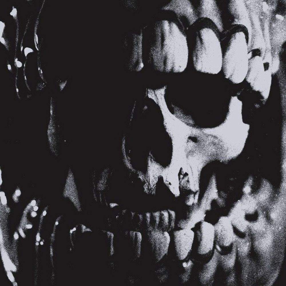 WHO AM 𝐢.
