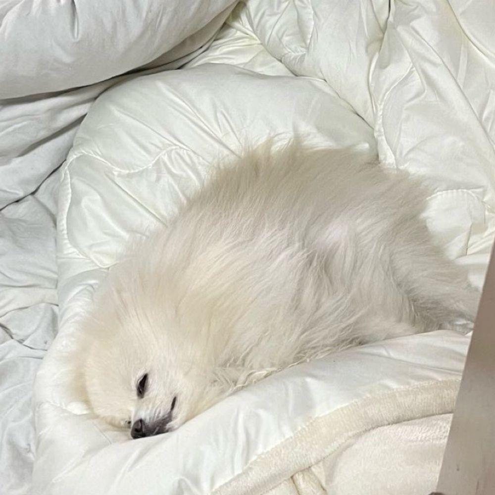 ちるるん