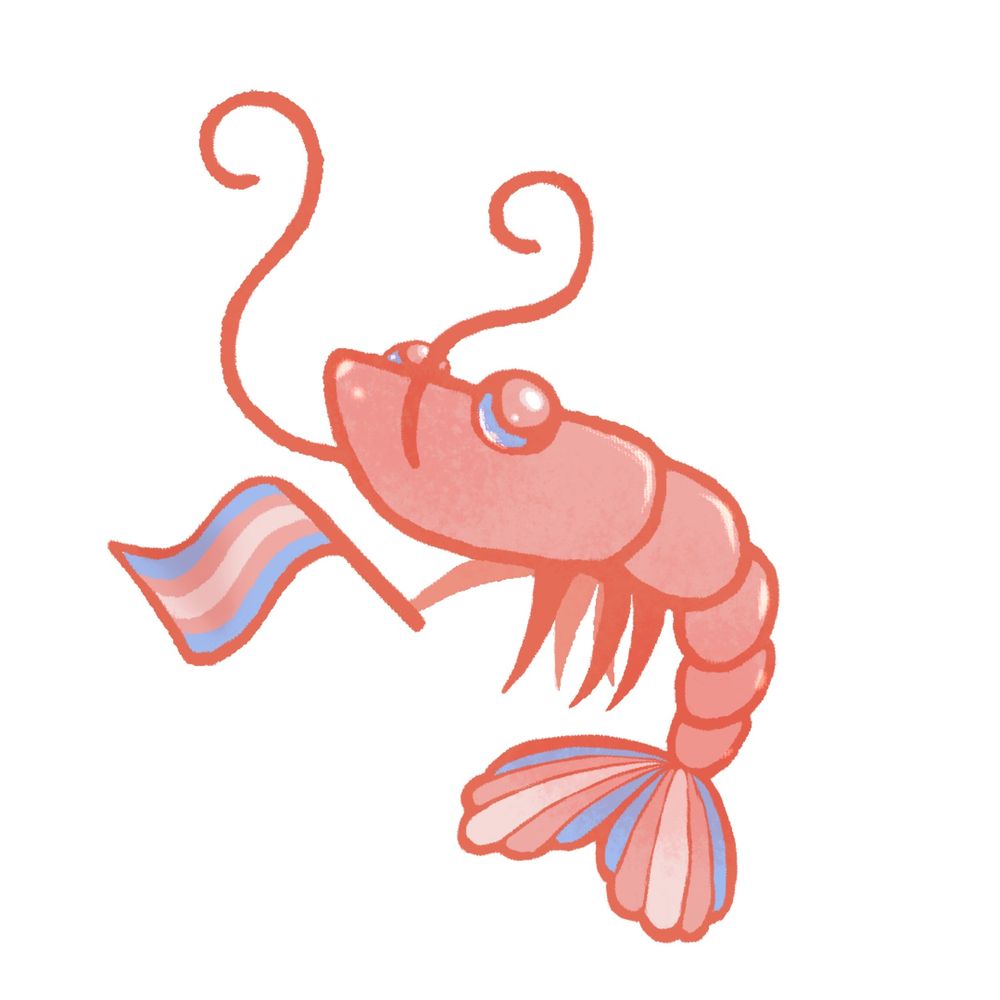shrimpy 🏳️‍⚧️