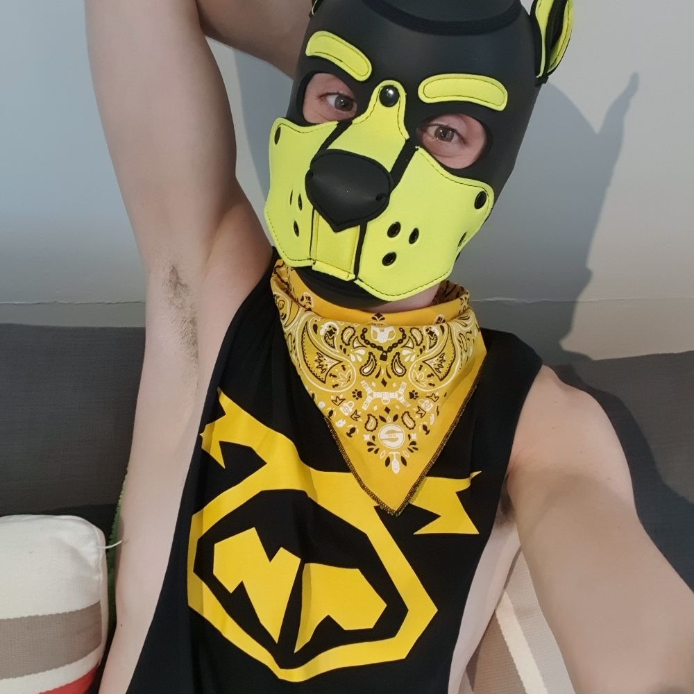 Pup Rocket 🔜 Folsom EU '25
