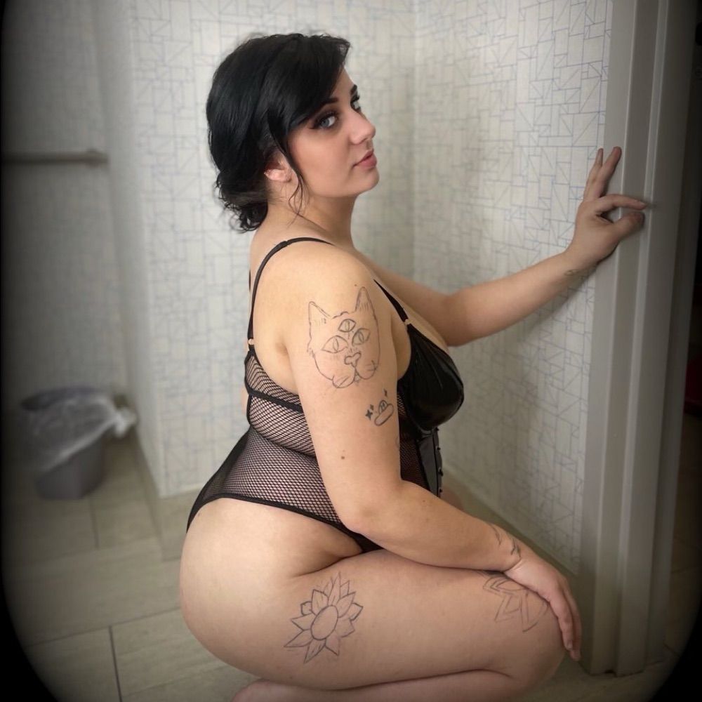 𝕂𝕚𝕥𝕥𝕖𝕟 $3.50 𝔒𝔉 SALE