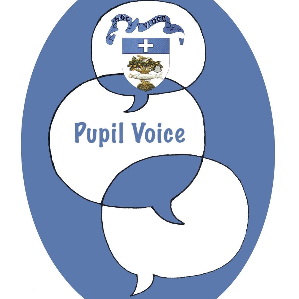 Holyrood Secondary Pupil Voice
