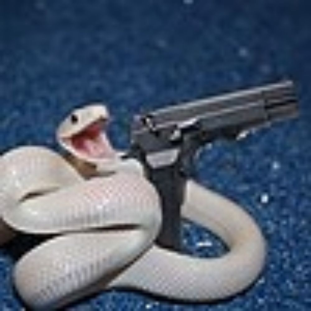 Lizerdius Reptilius