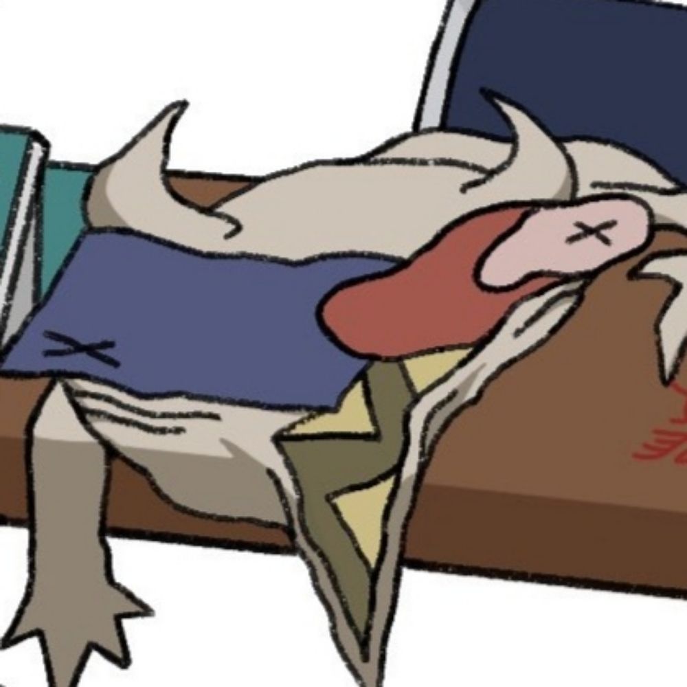 三角 四角丸