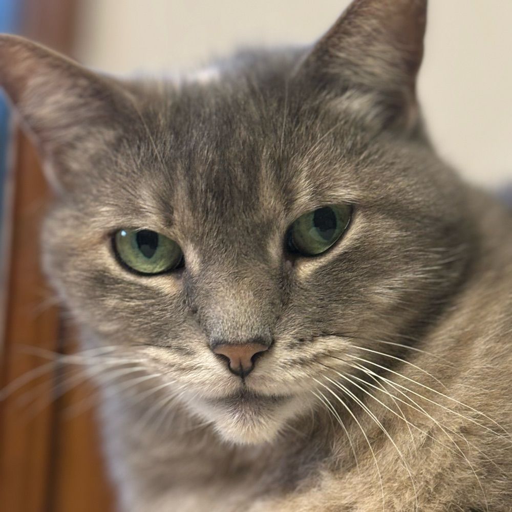 Skye