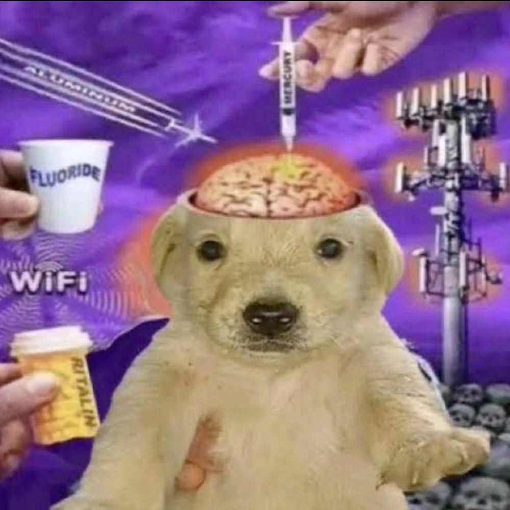 Degree