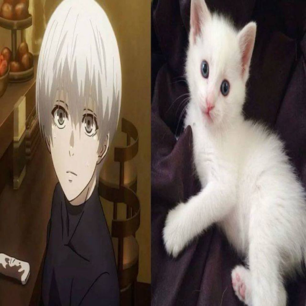 su