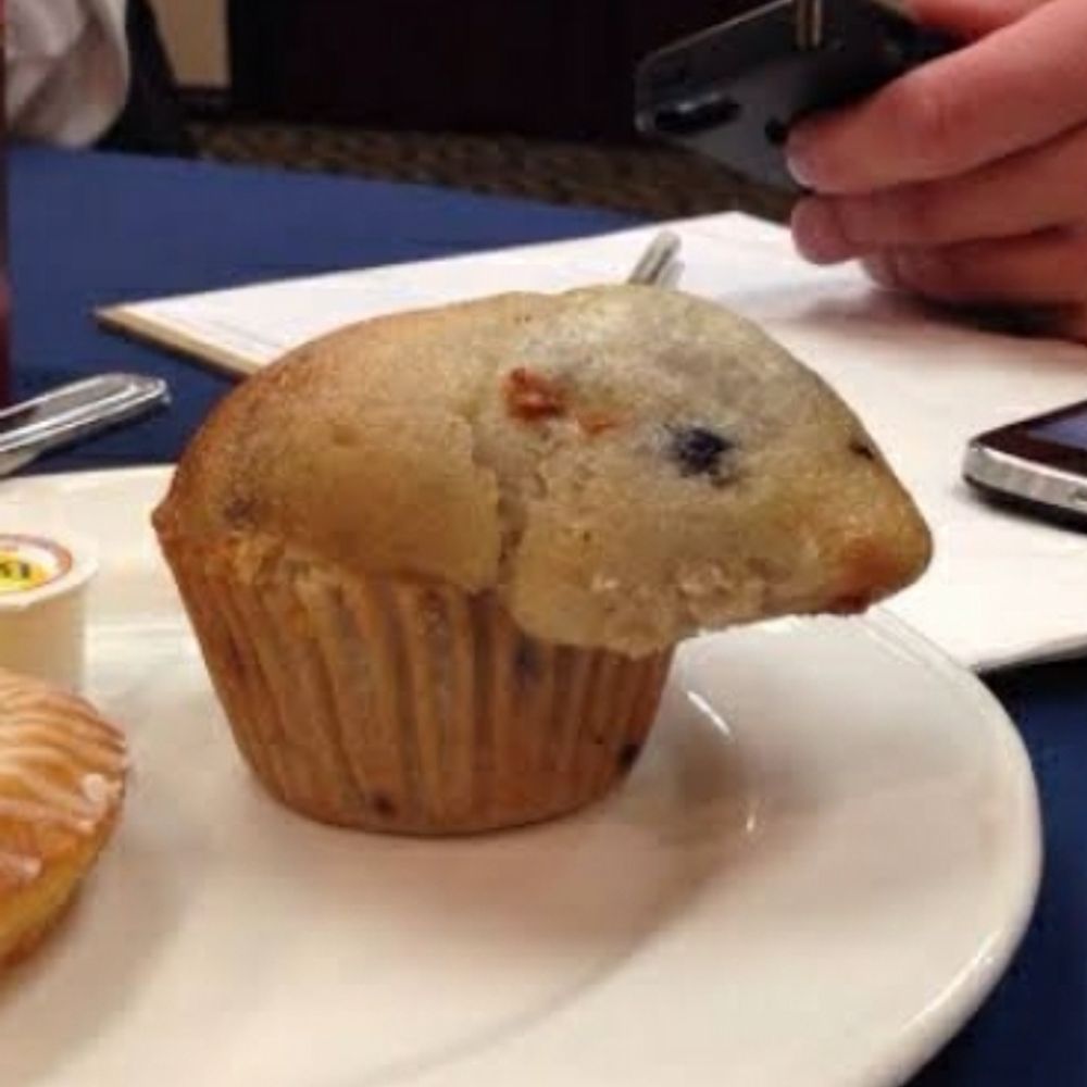 Muffin