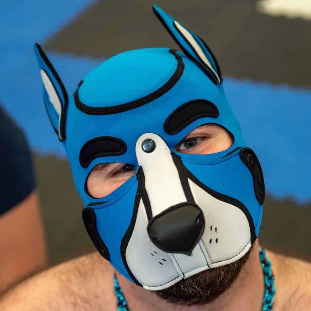 Pup Polaris
