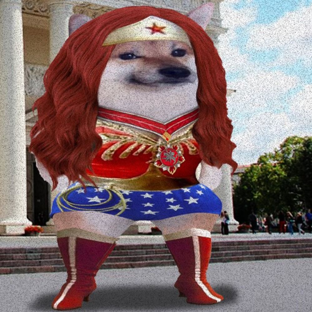 Wonder Inu (Doggo)