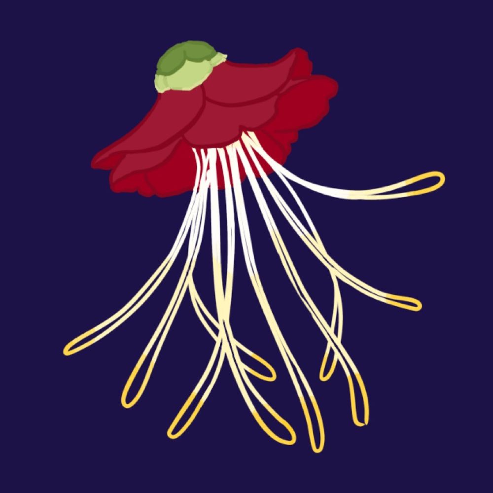 尽海石榴🪼