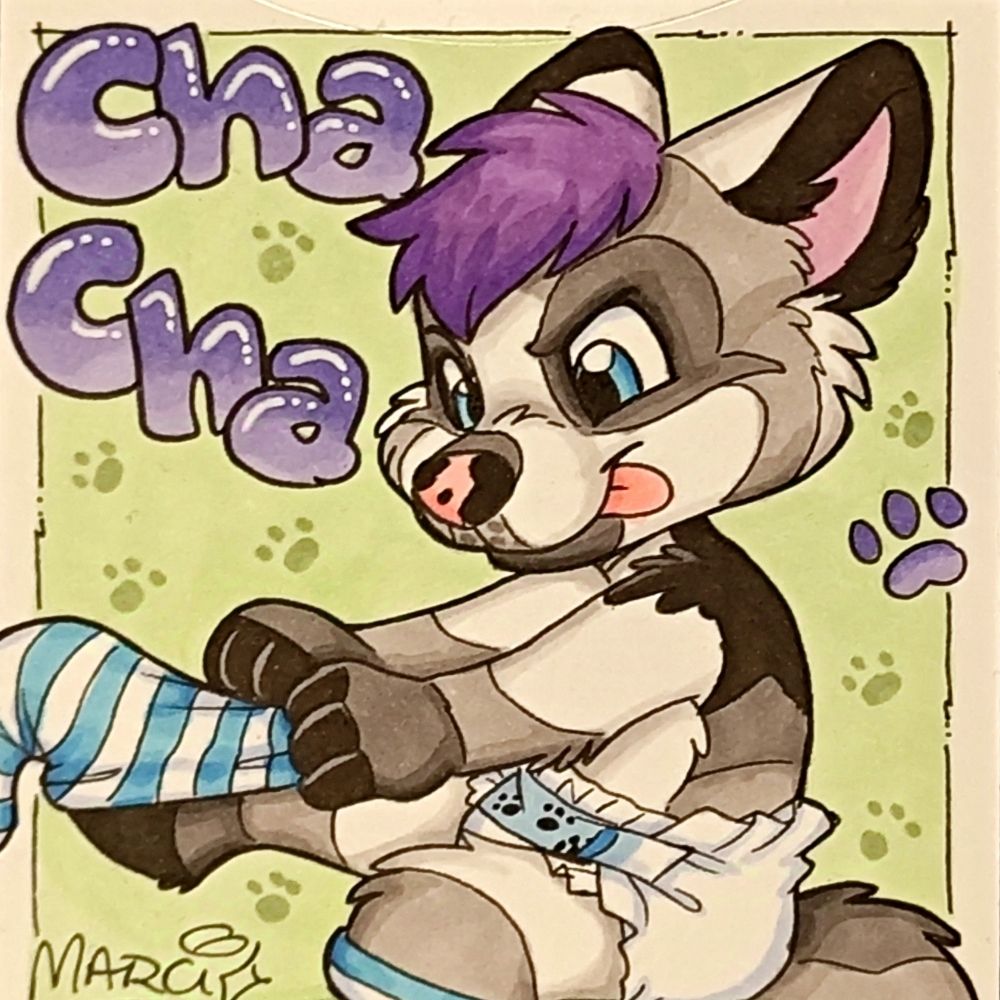 Little Chacha / Leo