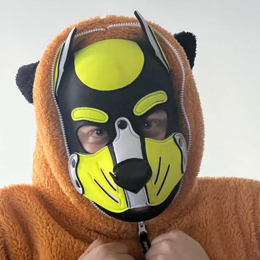 Pup Teron