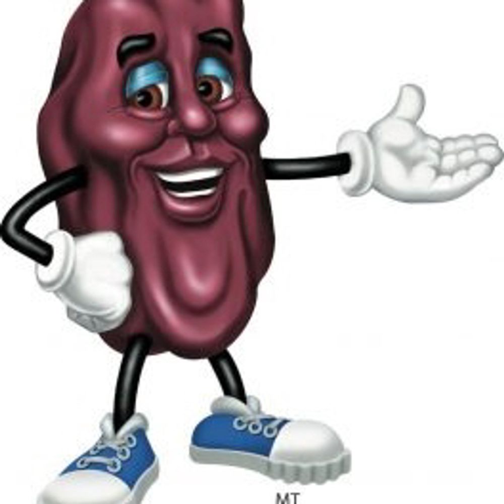 california-raisins.bsky.social profile picture