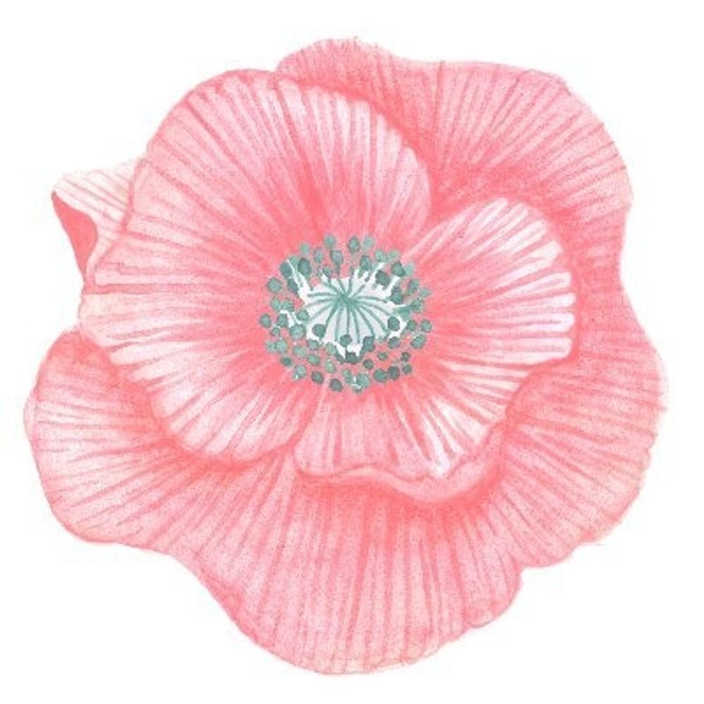 Yasuyo
