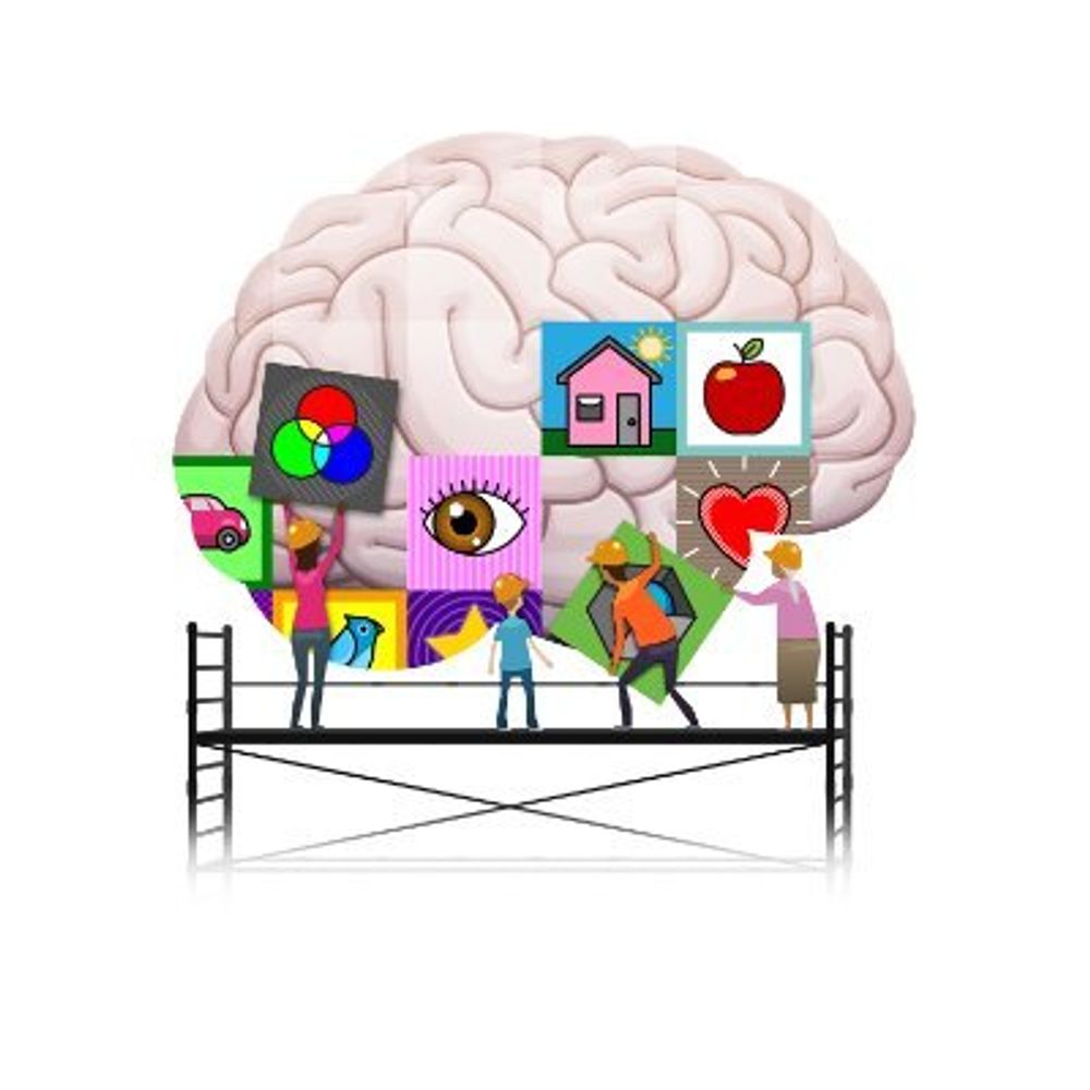 Oxford Brain Story