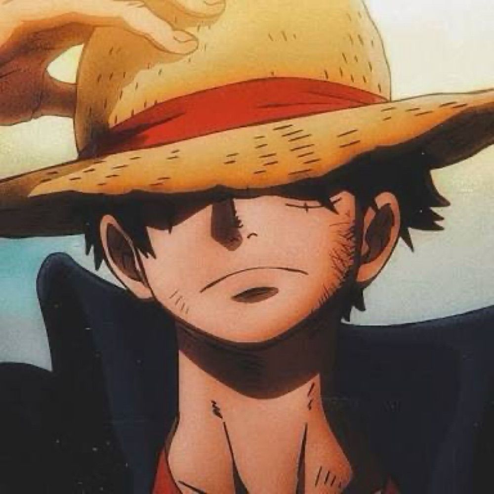 Comrade Luffy 🏴🚩
