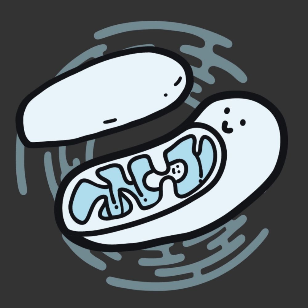 すくみずログ