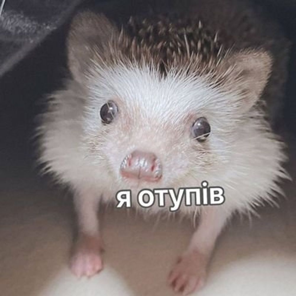неістота наїбалова