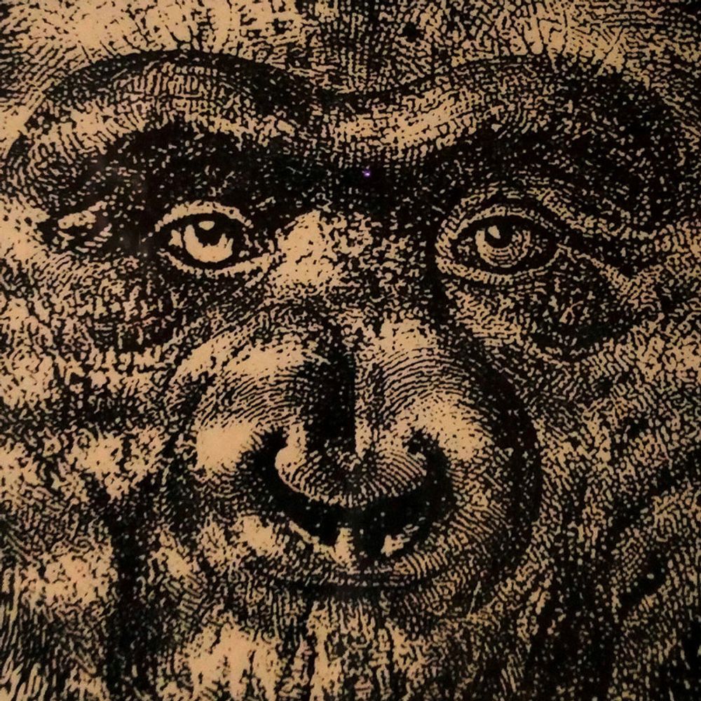 oulimouli.bsky.social