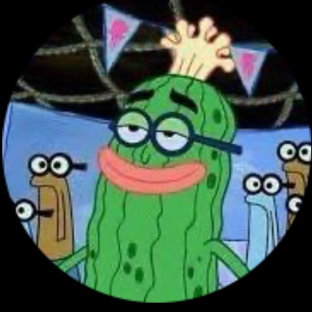“𝙿𝚒𝚌𝚔𝚕𝚎” 🥒