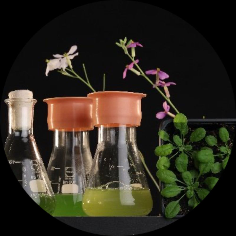 Weber Lab