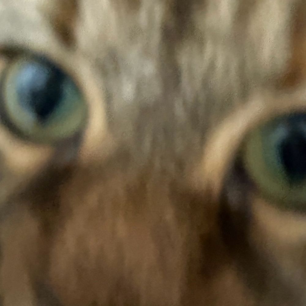 💟ュ💟