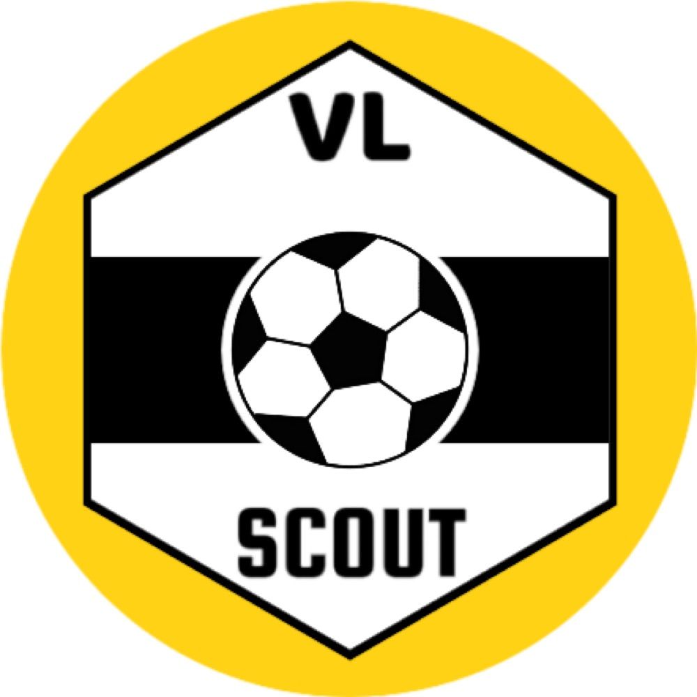 VLSCOUT