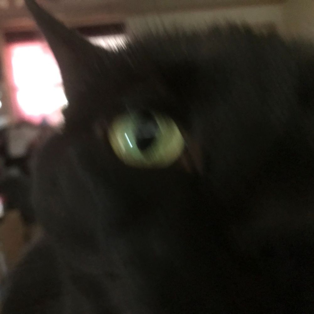 LDWheeler