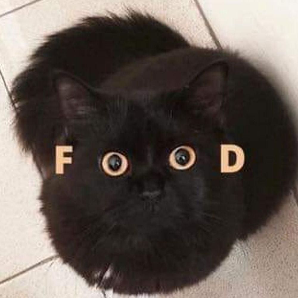 messed up foods