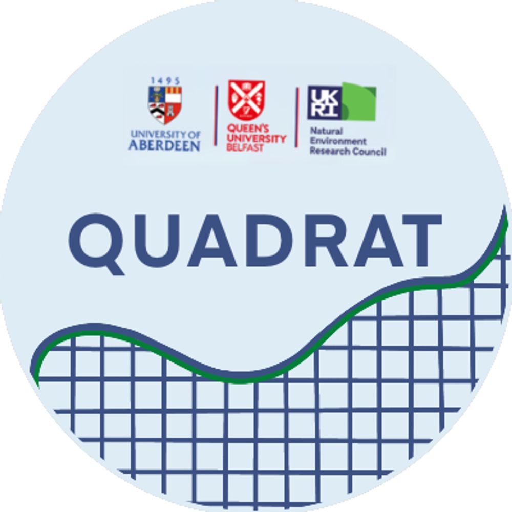 QUADRAT DTP