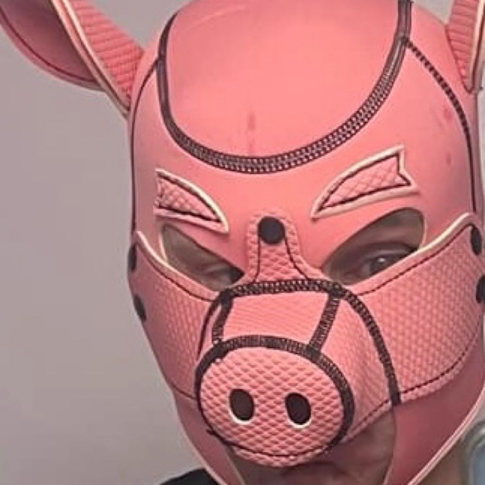 KY🐷Man