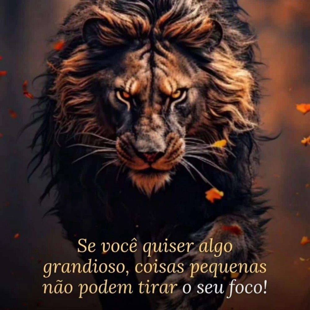 Navegante