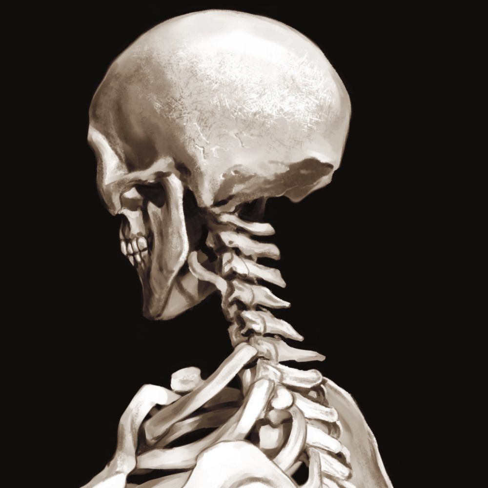Profile avatar