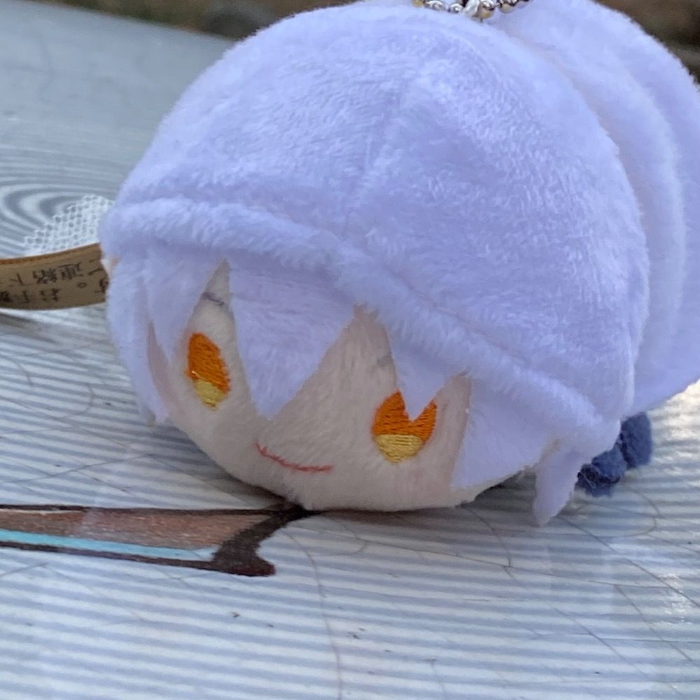 さくら猫ᓚᘏᗢ