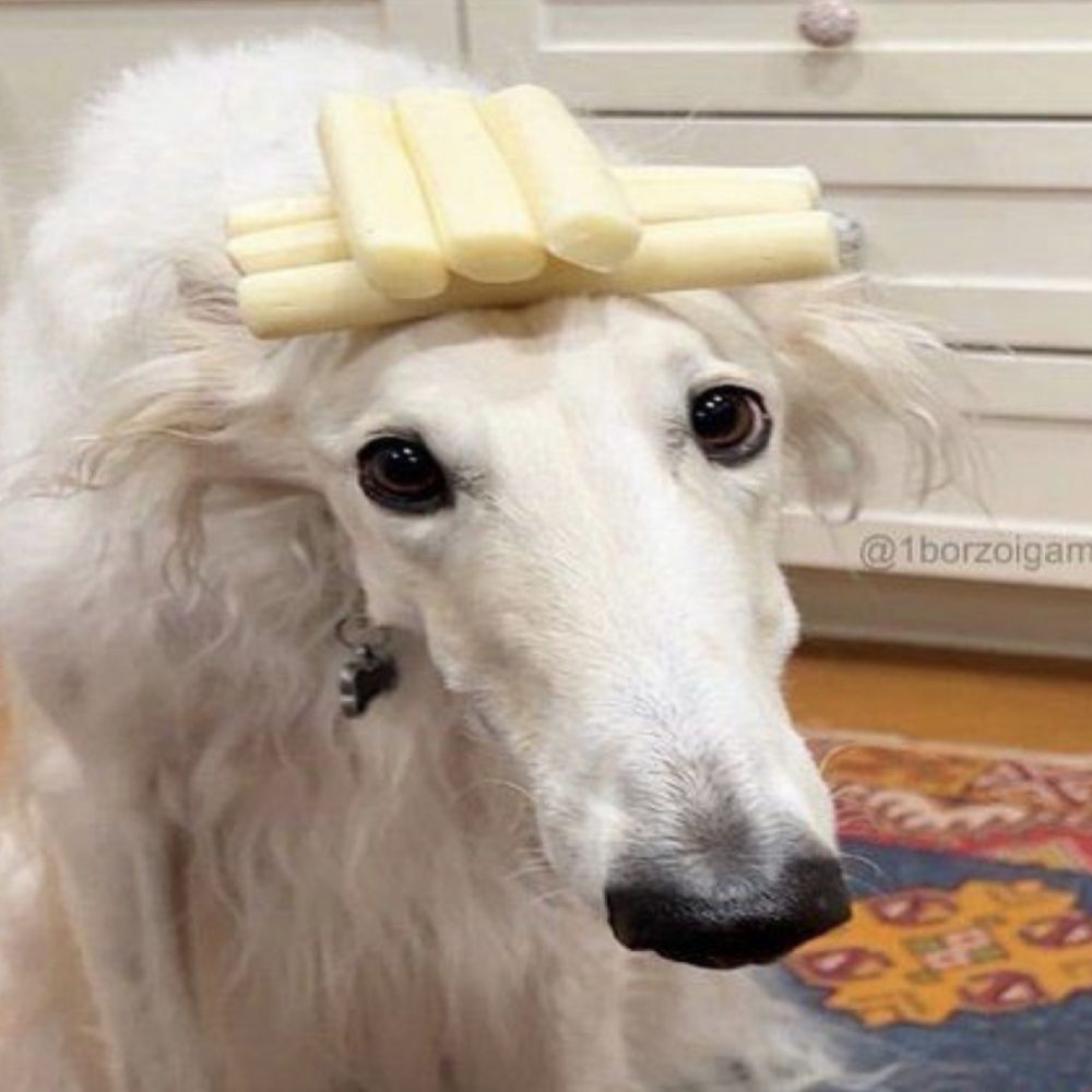 Sub Woofer ζ
