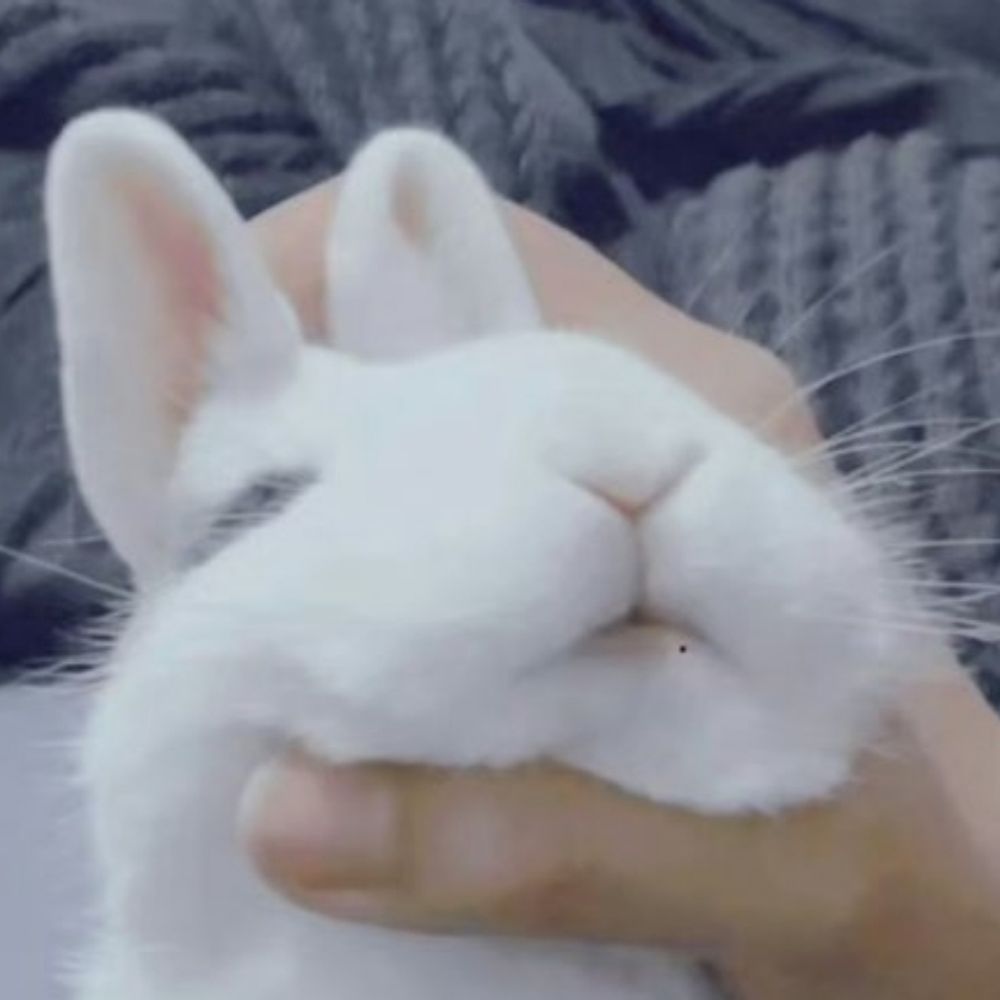 썬