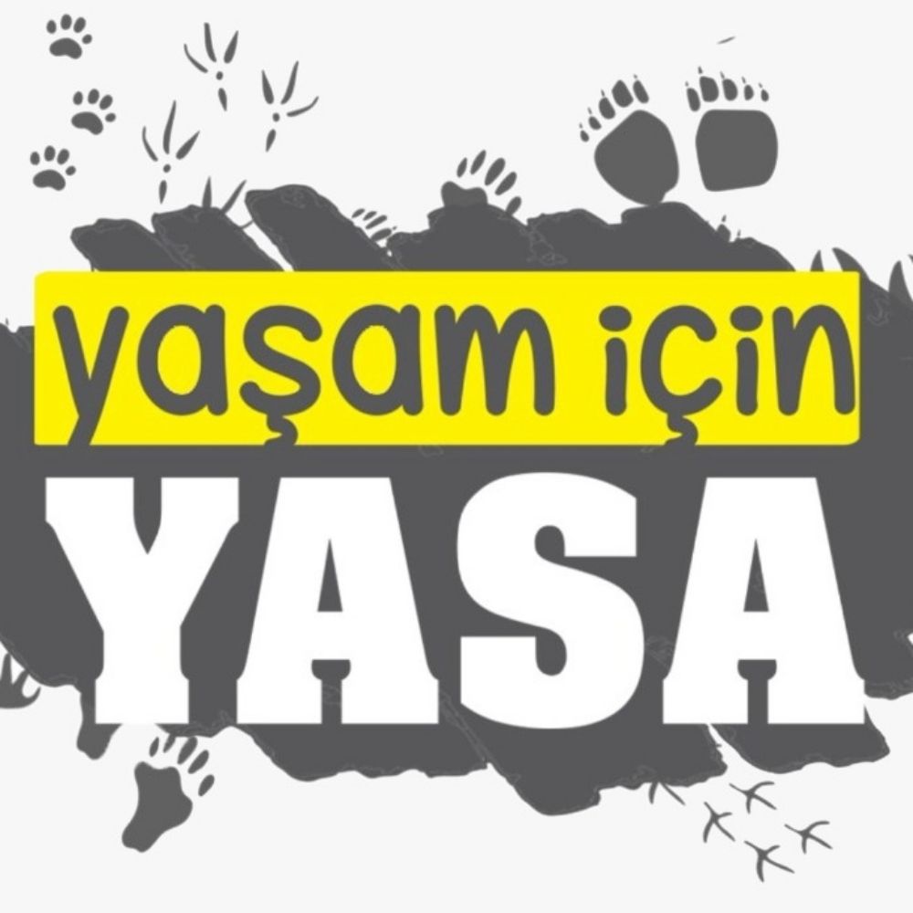 Yaşam İçin Yasa İnisiyatifi