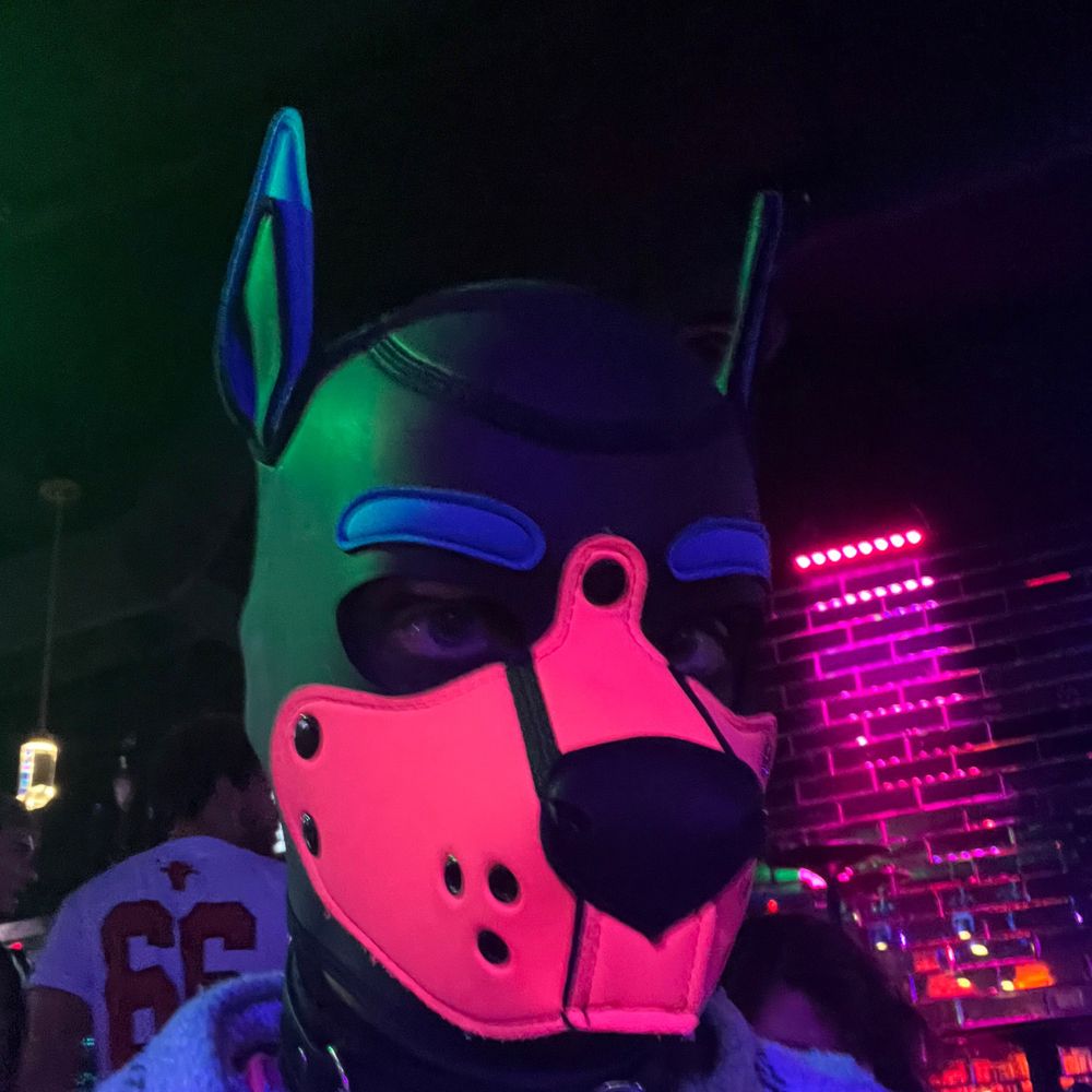 Pup Marco, 30% more horny.