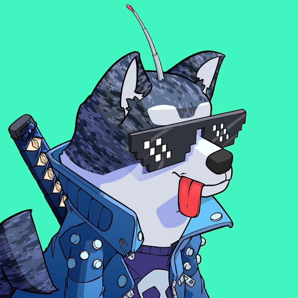 skinny.akita.algo