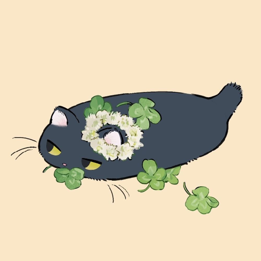 もきち