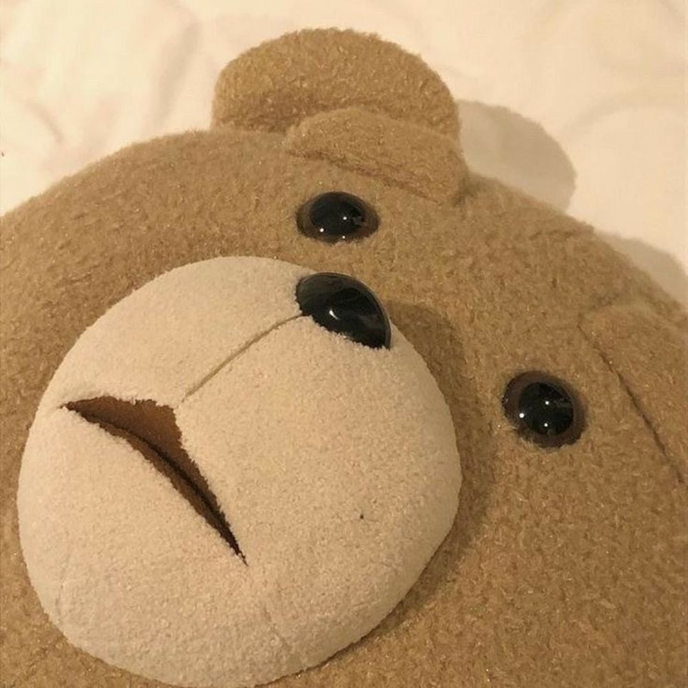 네투