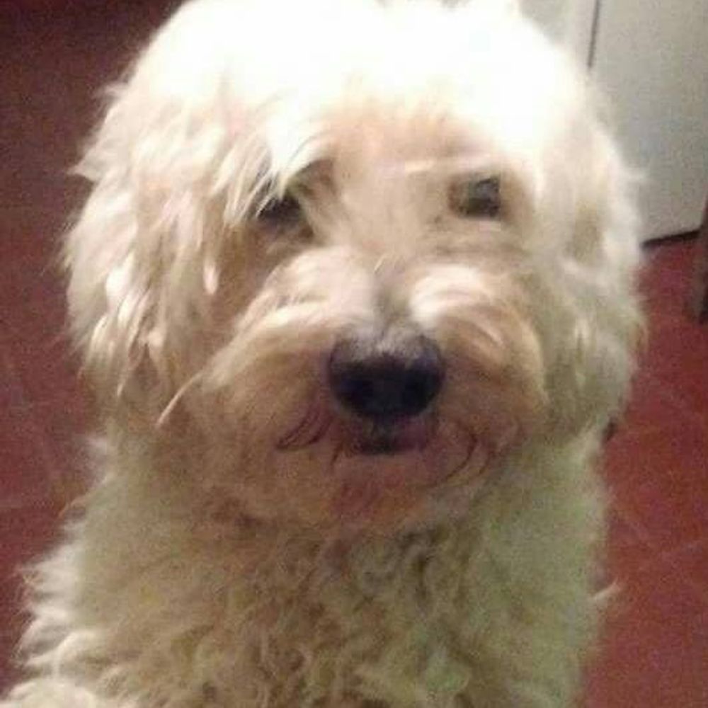 Sam