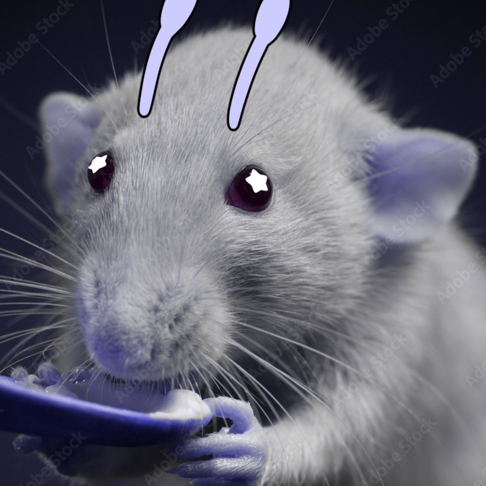 Ewee Cheeser 👽🐭 ~pre debut~