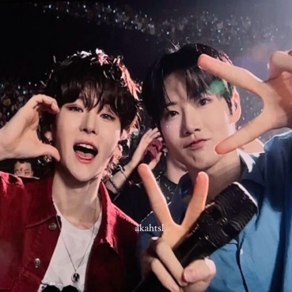 yojunha🦋🐨🐯
